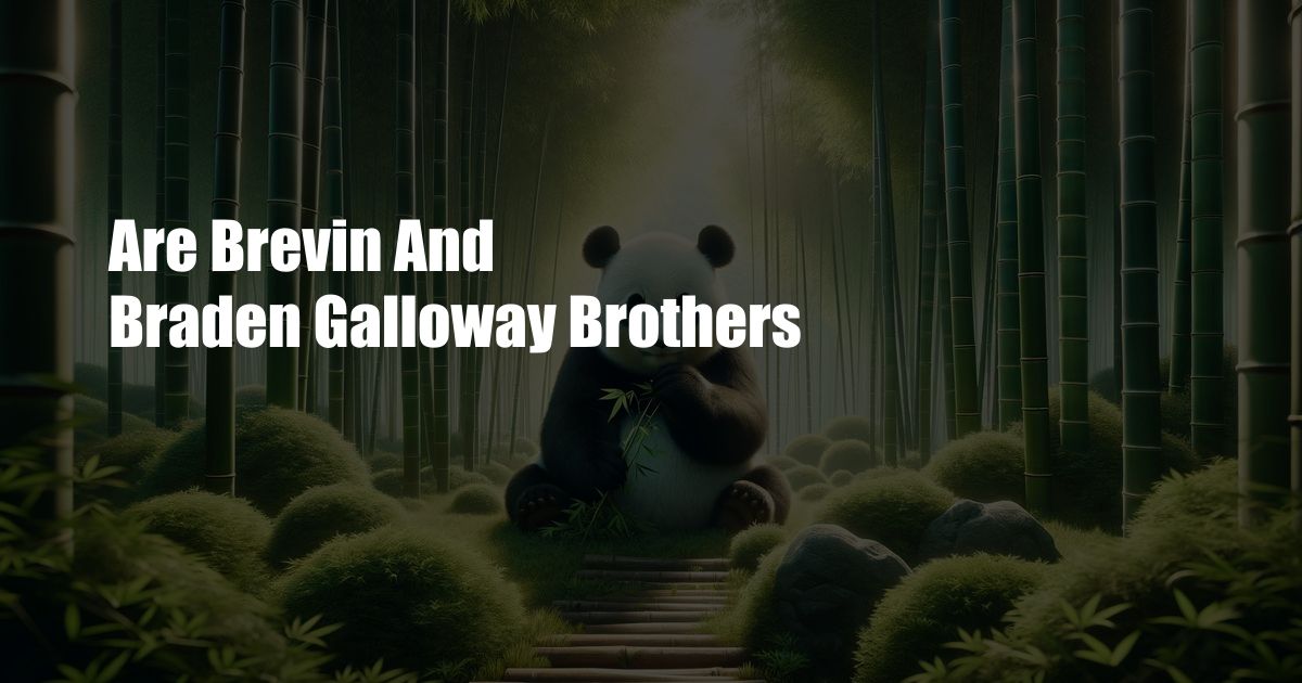 Are Brevin And Braden Galloway Brothers