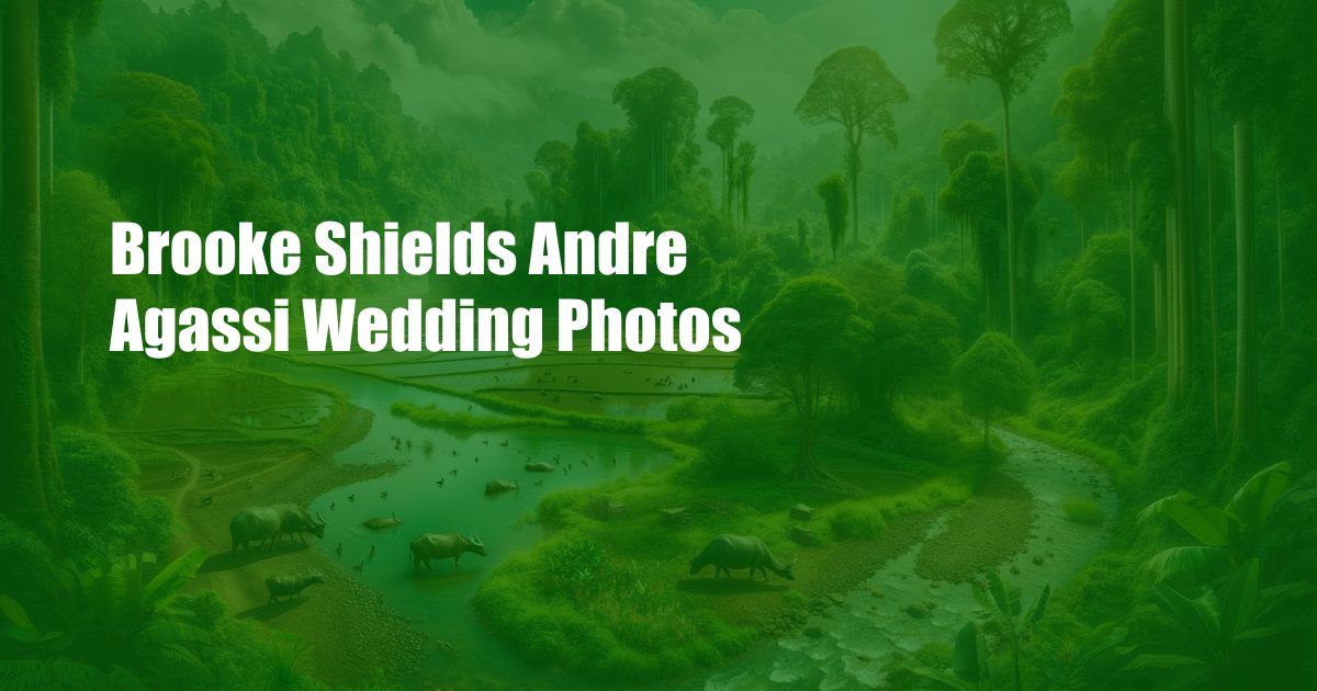 Brooke Shields Andre Agassi Wedding Photos