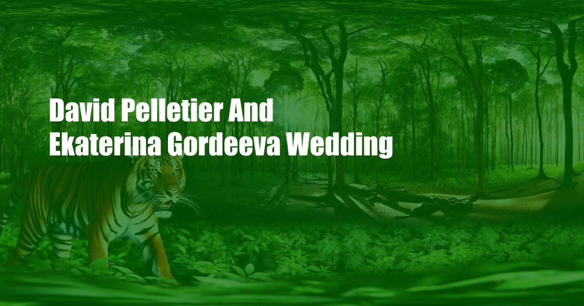 David Pelletier And Ekaterina Gordeeva Wedding