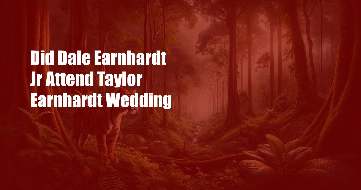 Did Dale Earnhardt Jr Attend Taylor Earnhardt Wedding