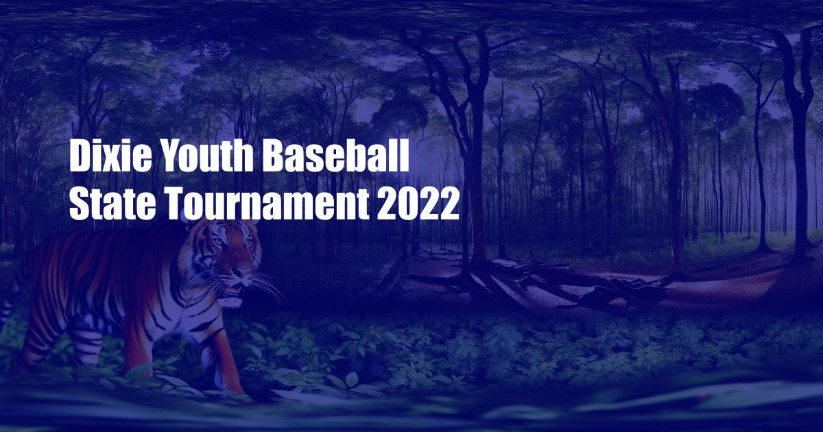 Dixie Youth Baseball State Tournament 2022