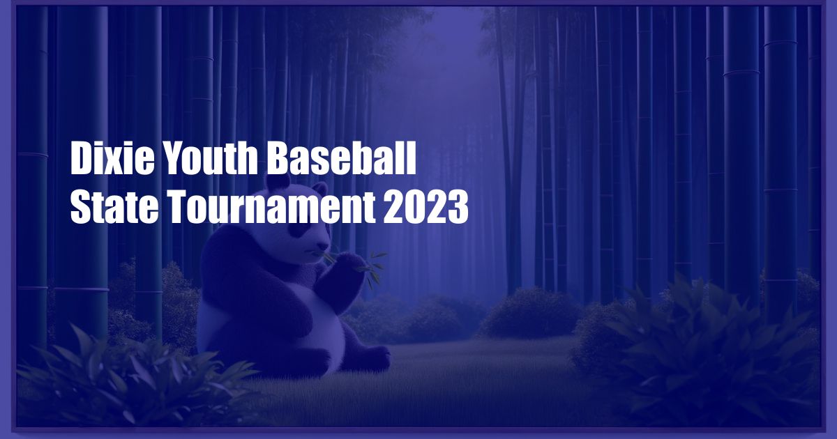 Dixie Youth Baseball State Tournament 2023