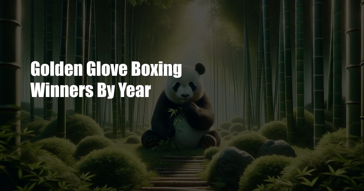 Golden Glove Boxing Winners By Year