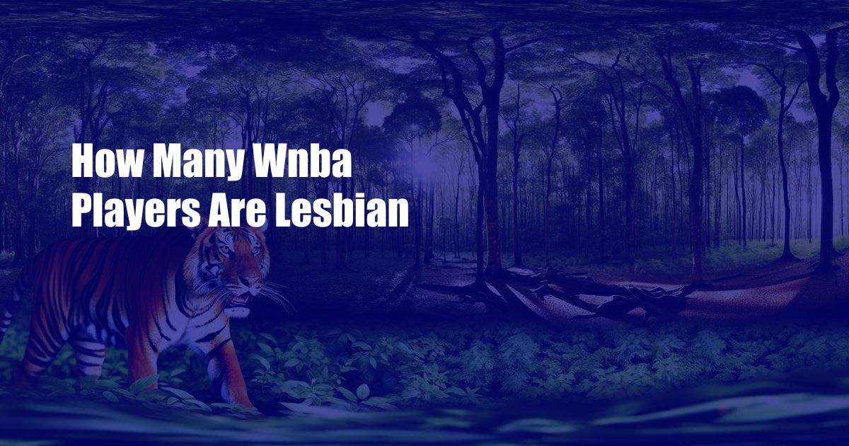 How Many Wnba Players Are Lesbian