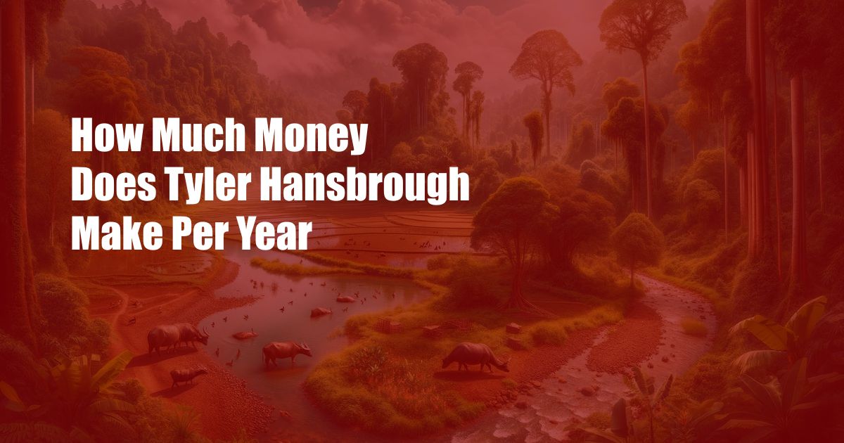 How Much Money Does Tyler Hansbrough Make Per Year