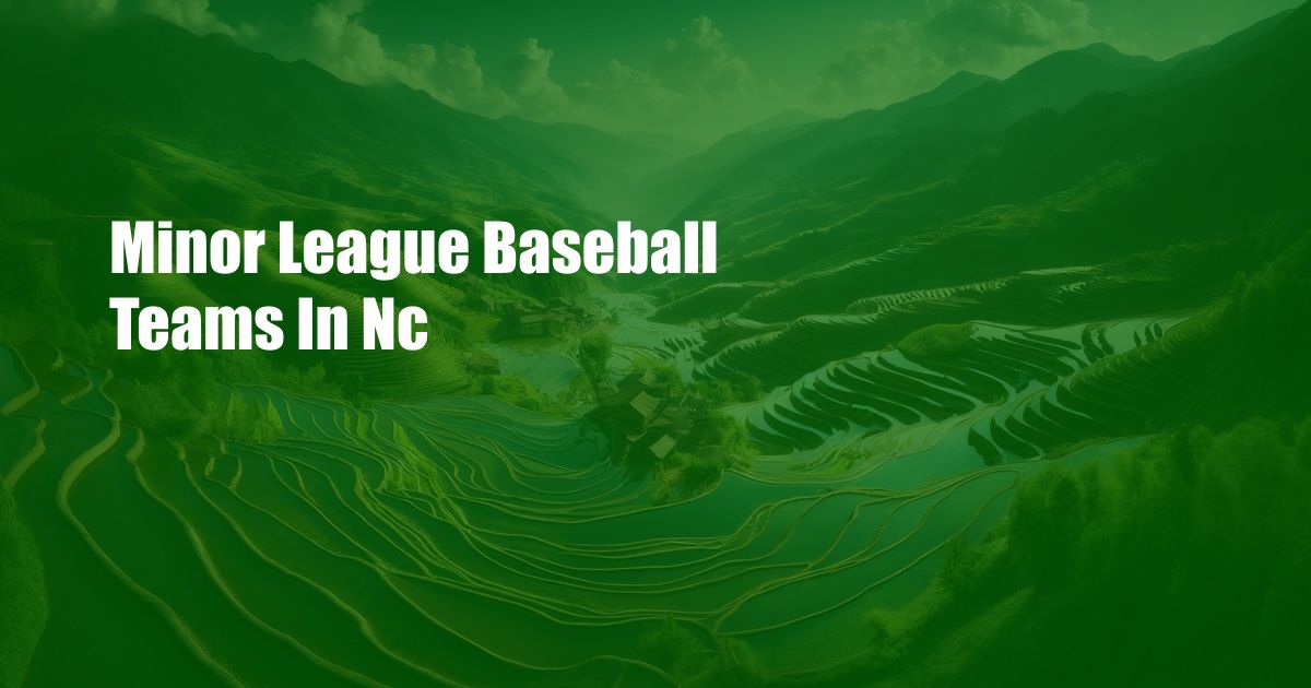 Minor League Baseball Teams In Nc