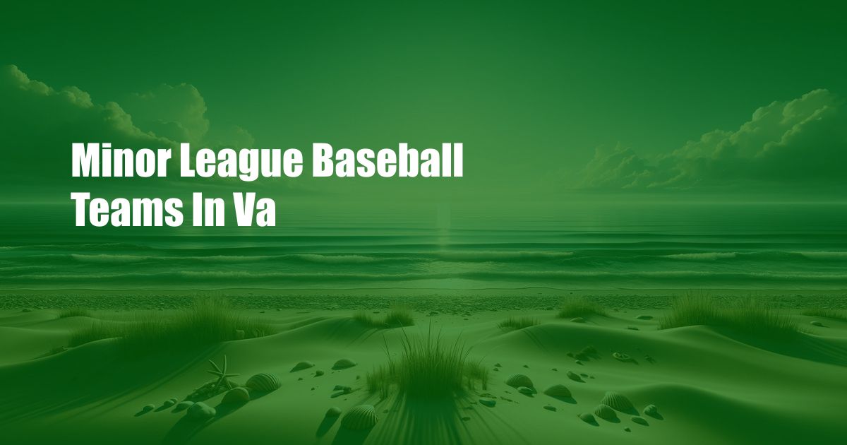 Minor League Baseball Teams In Va