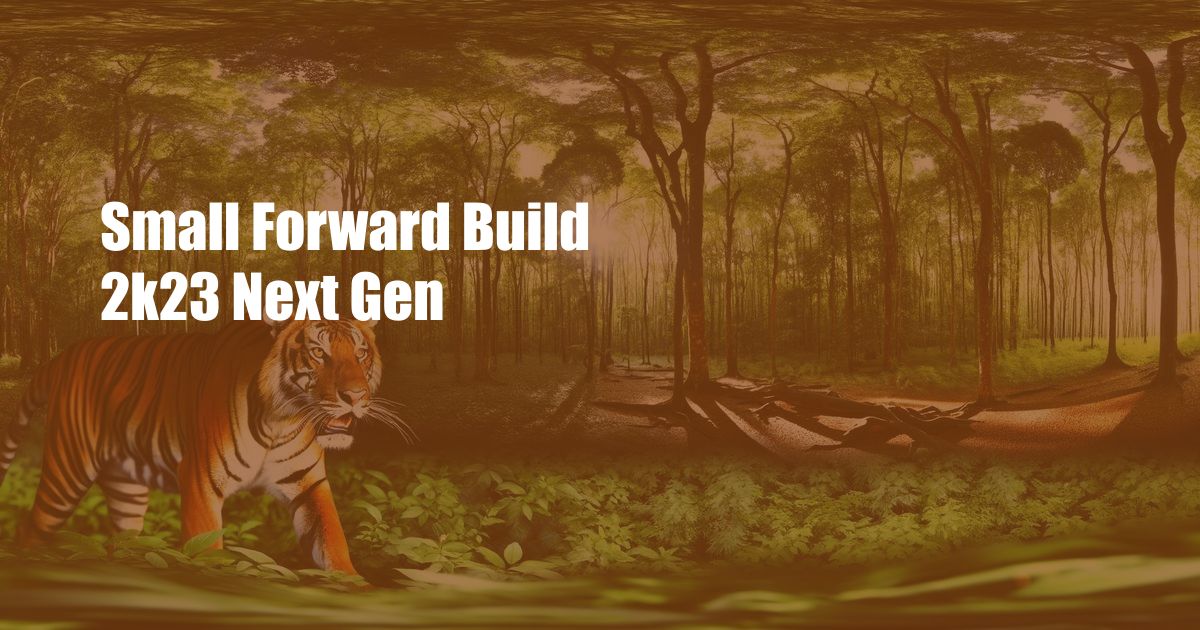 Small Forward Build 2k23 Next Gen