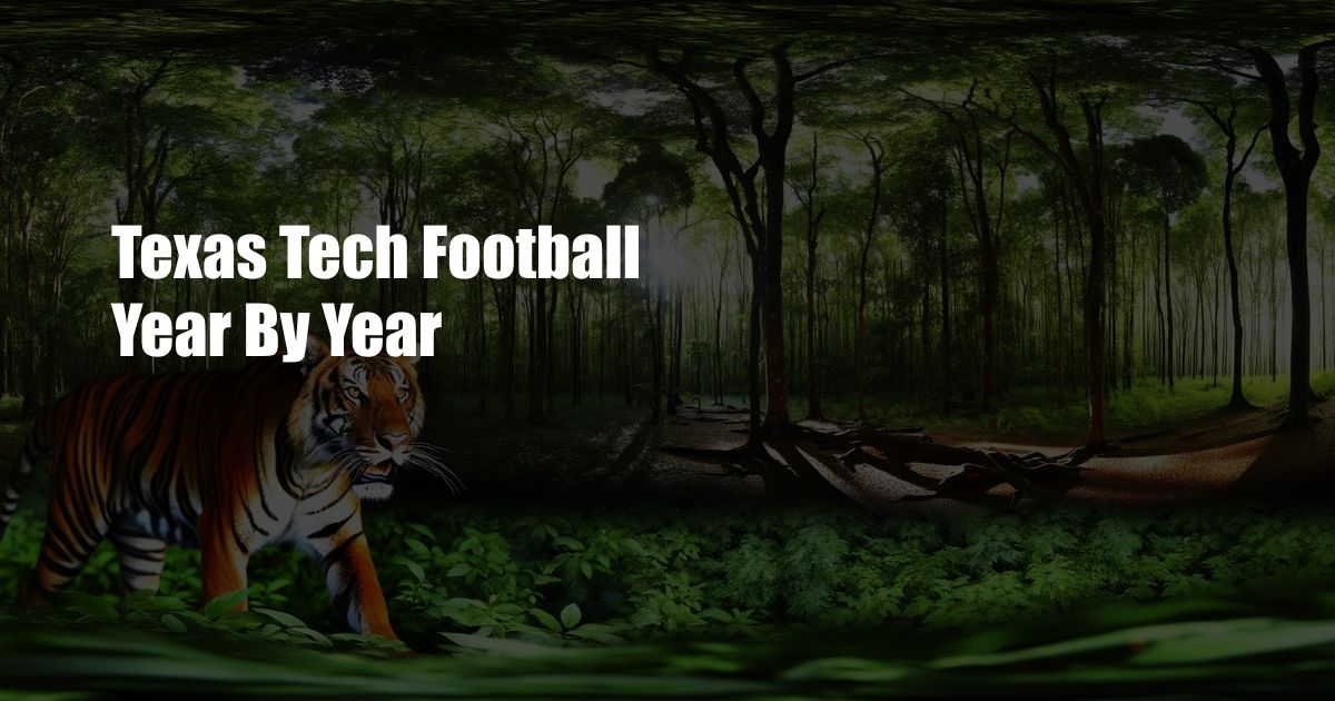 Texas Tech Football Year By Year