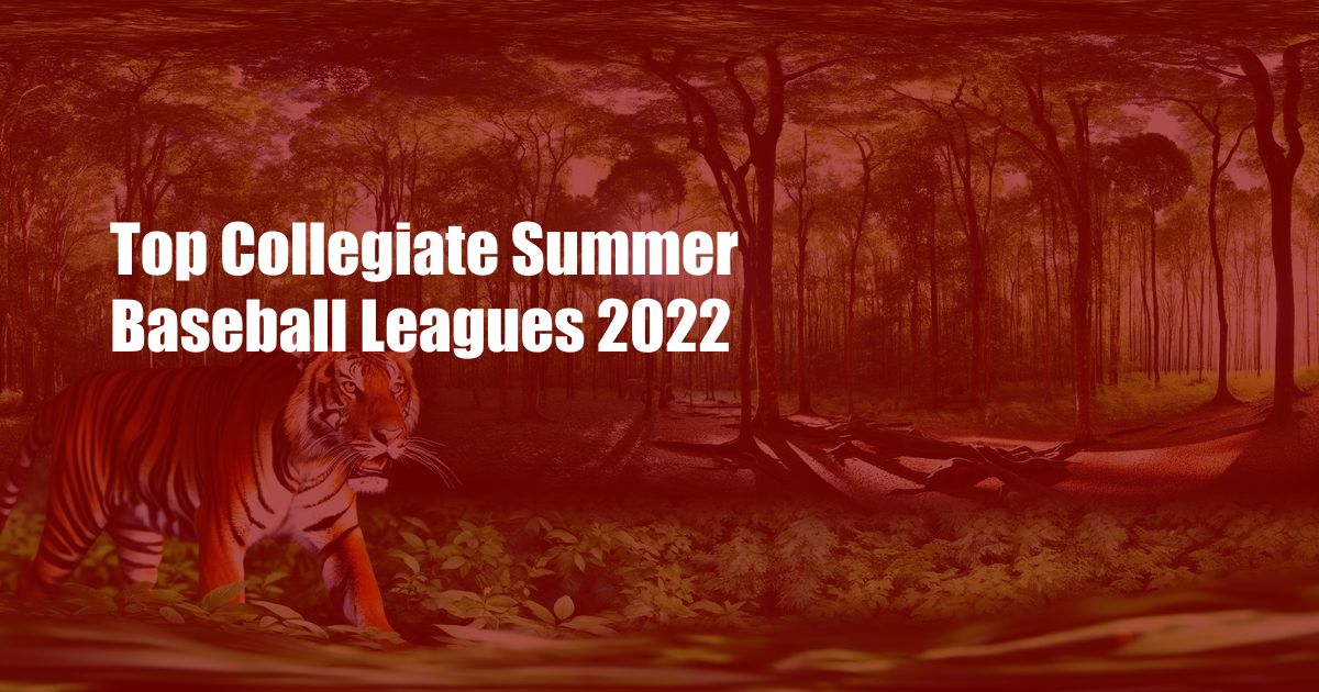 Top Collegiate Summer Baseball Leagues 2022