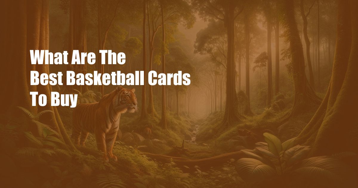 What Are The Best Basketball Cards To Buy