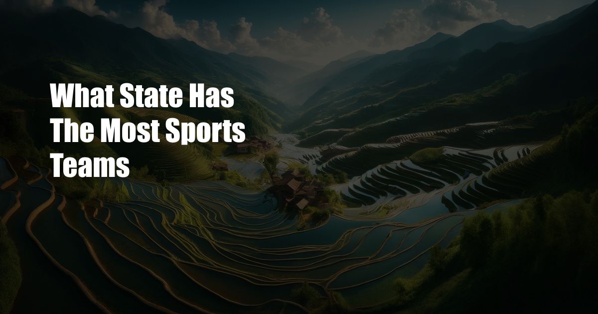 What State Has The Most Sports Teams