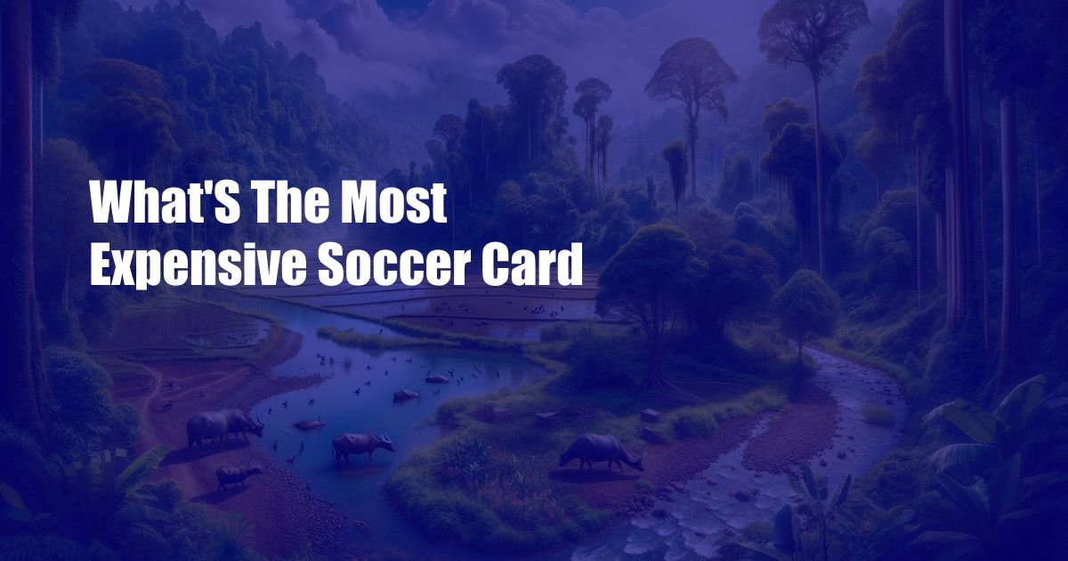 What’S The Most Expensive Soccer Card
