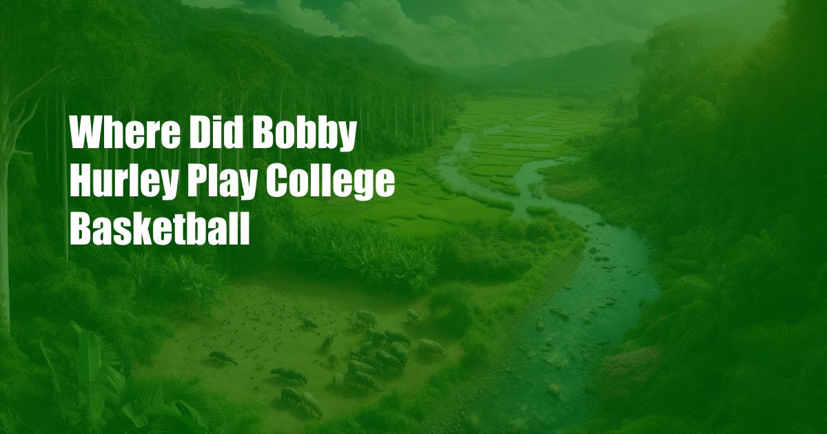 Where Did Bobby Hurley Play College Basketball