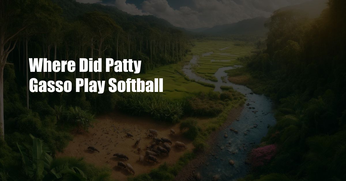 Where Did Patty Gasso Play Softball