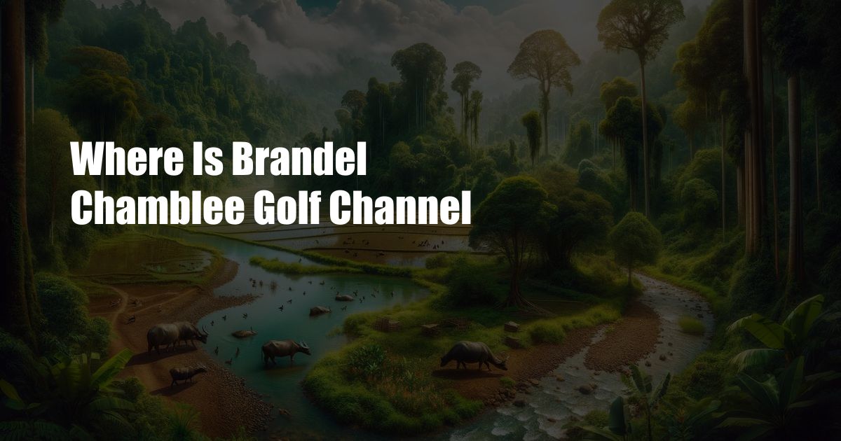 Where Is Brandel Chamblee Golf Channel