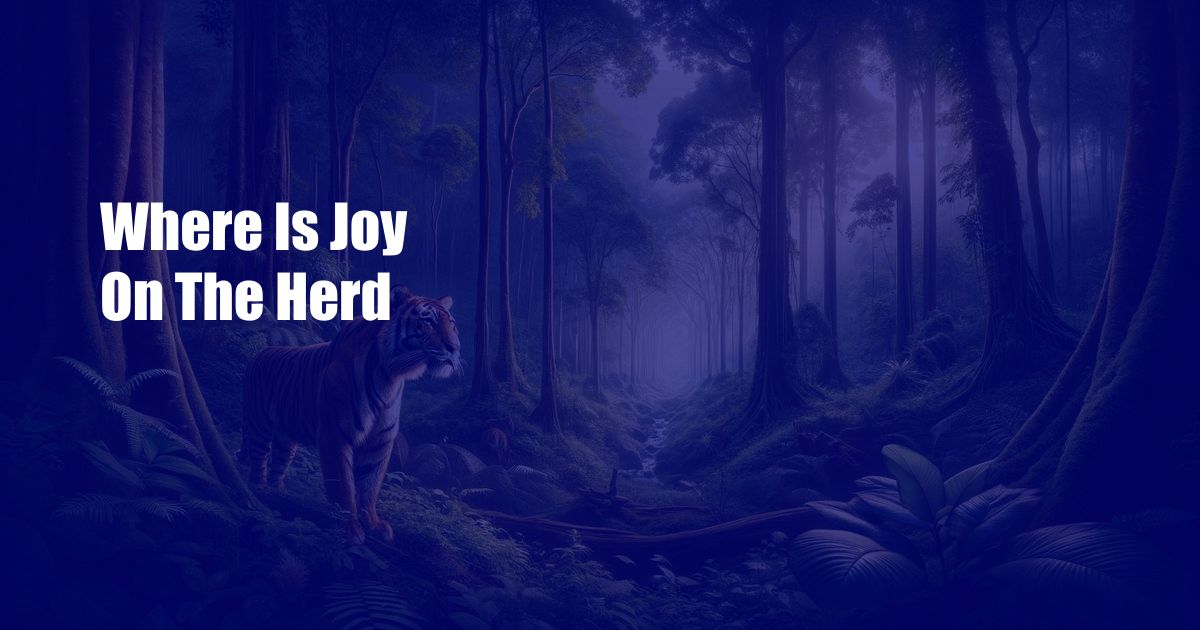 Where Is Joy On The Herd