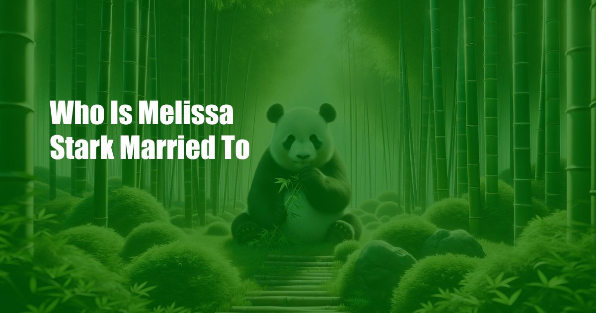 Who Is Melissa Stark Married To