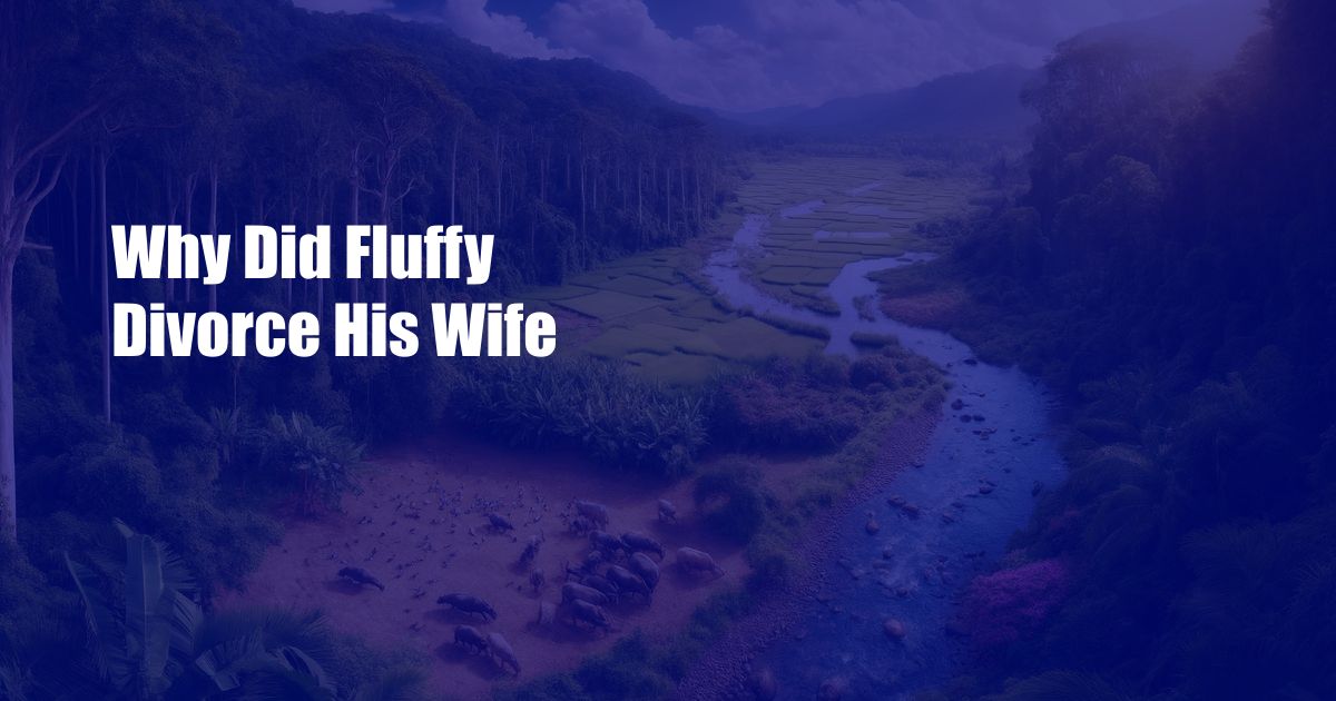 Why Did Fluffy Divorce His Wife