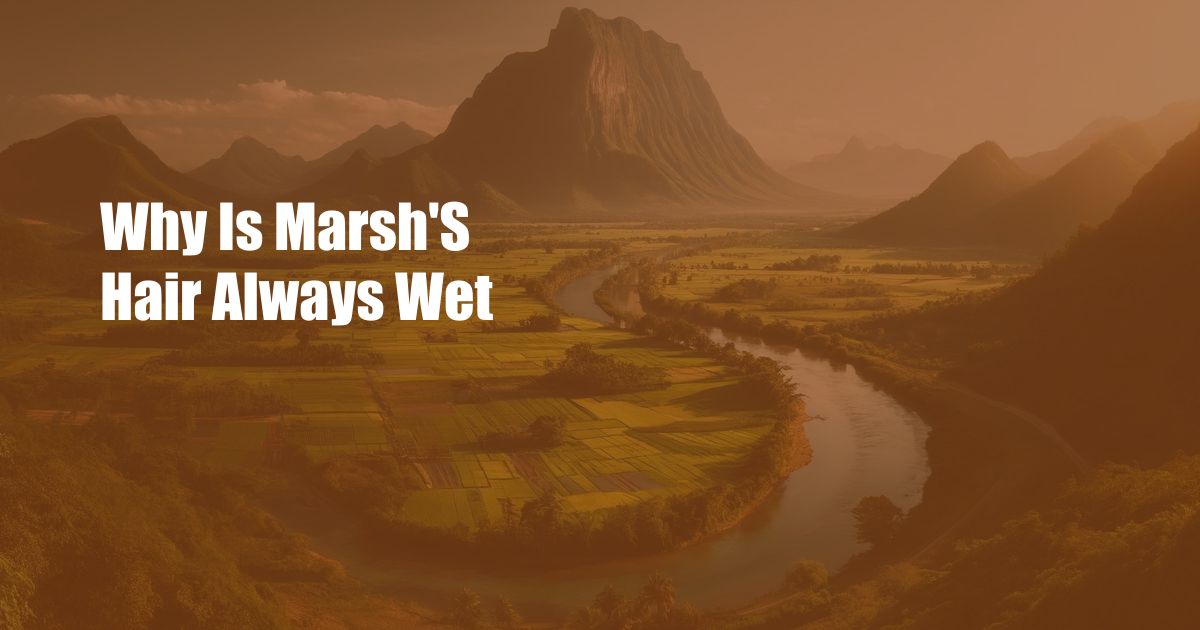 Why Is Marsh'S Hair Always Wet